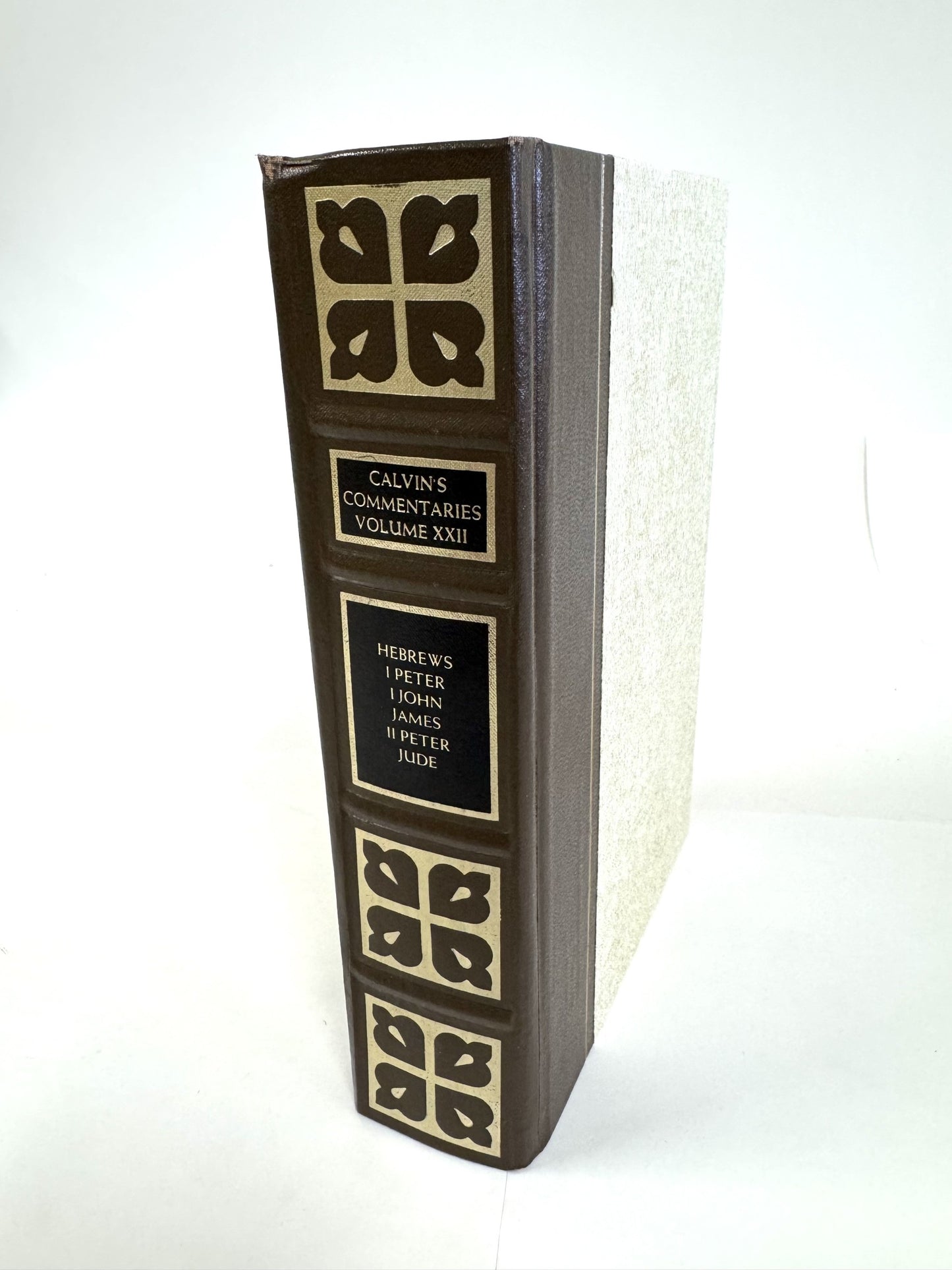 Calvin's Commentaries Vol. XXII