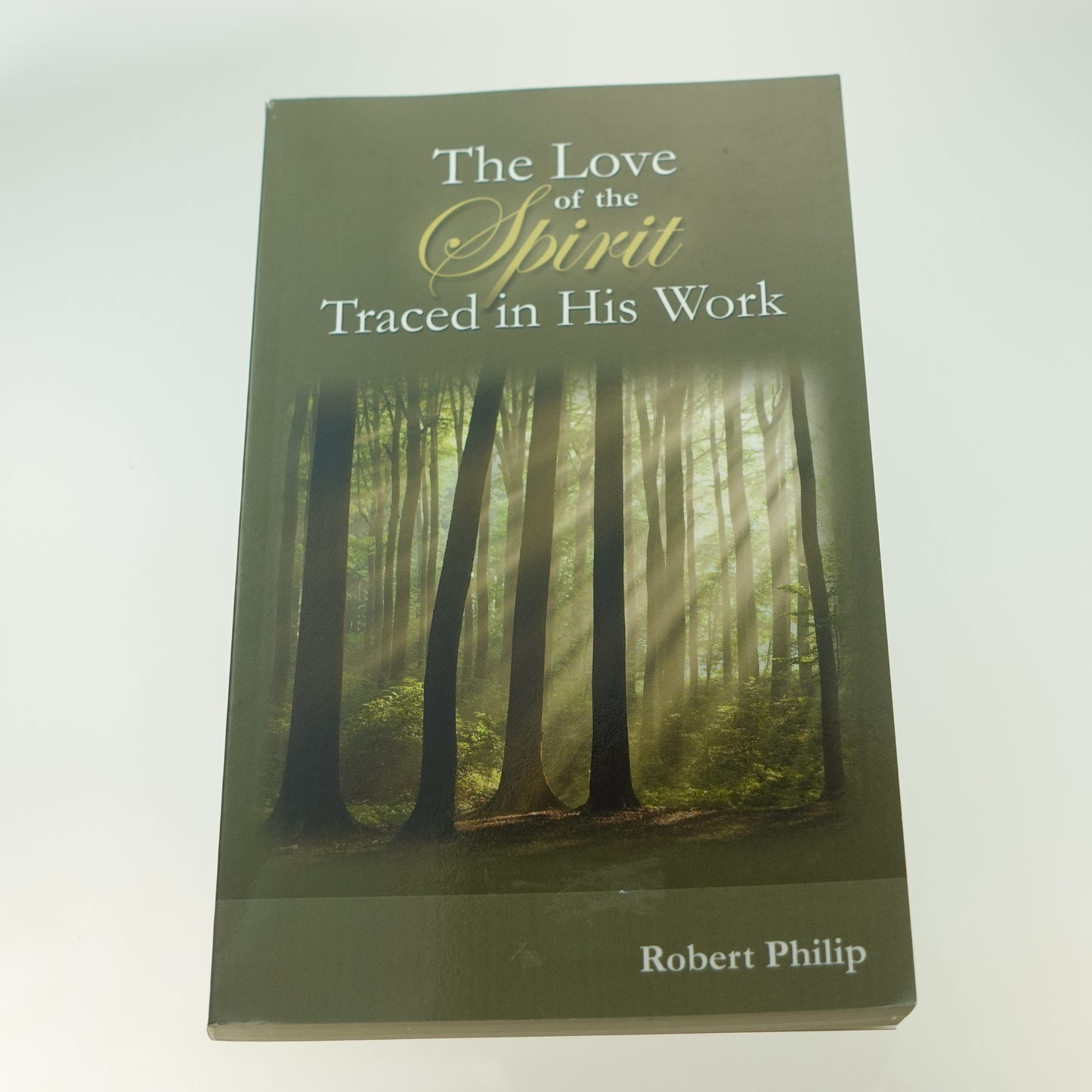 Love of the Spirit Traced in His Work