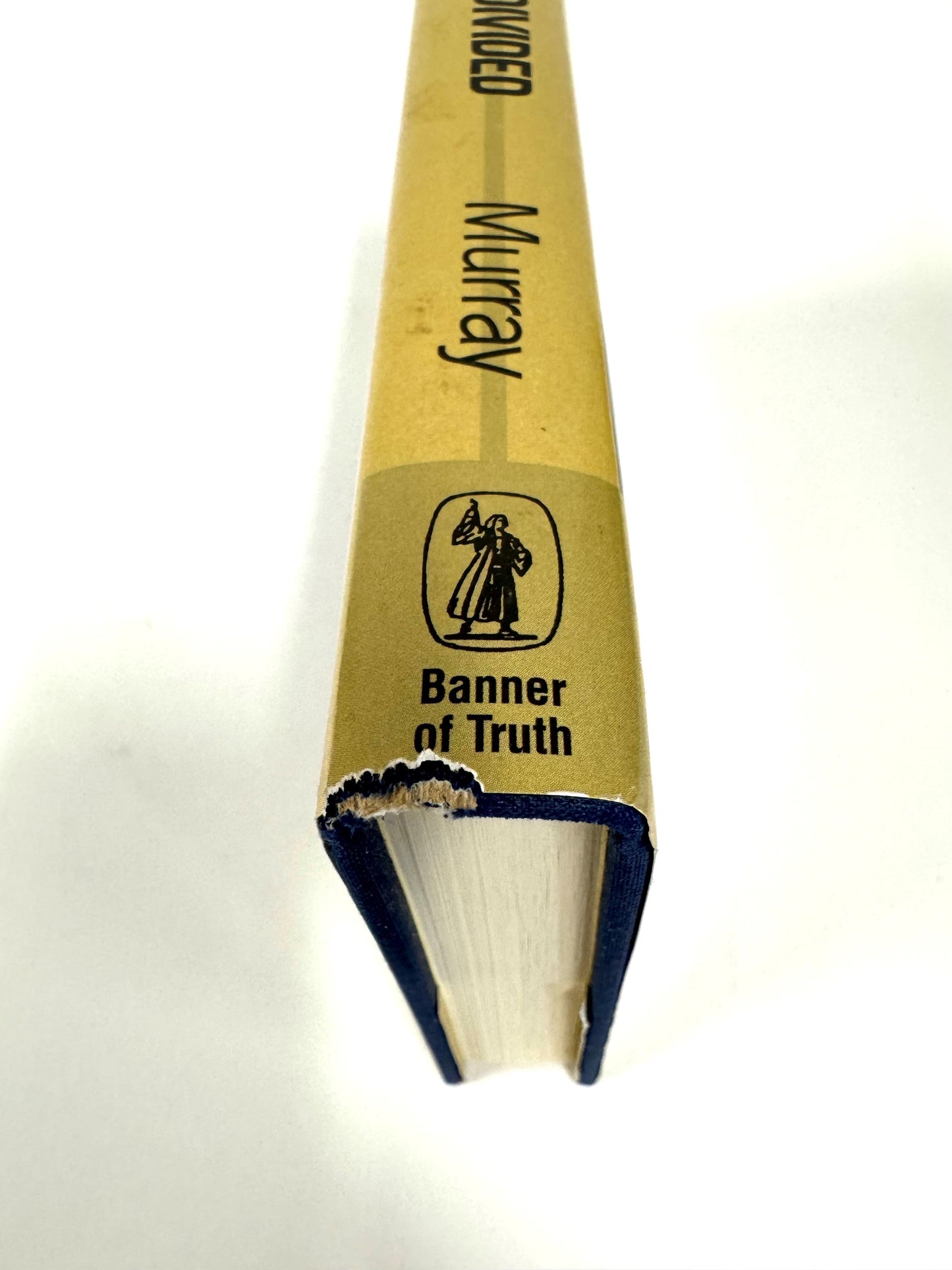 Evangelicalism Divided