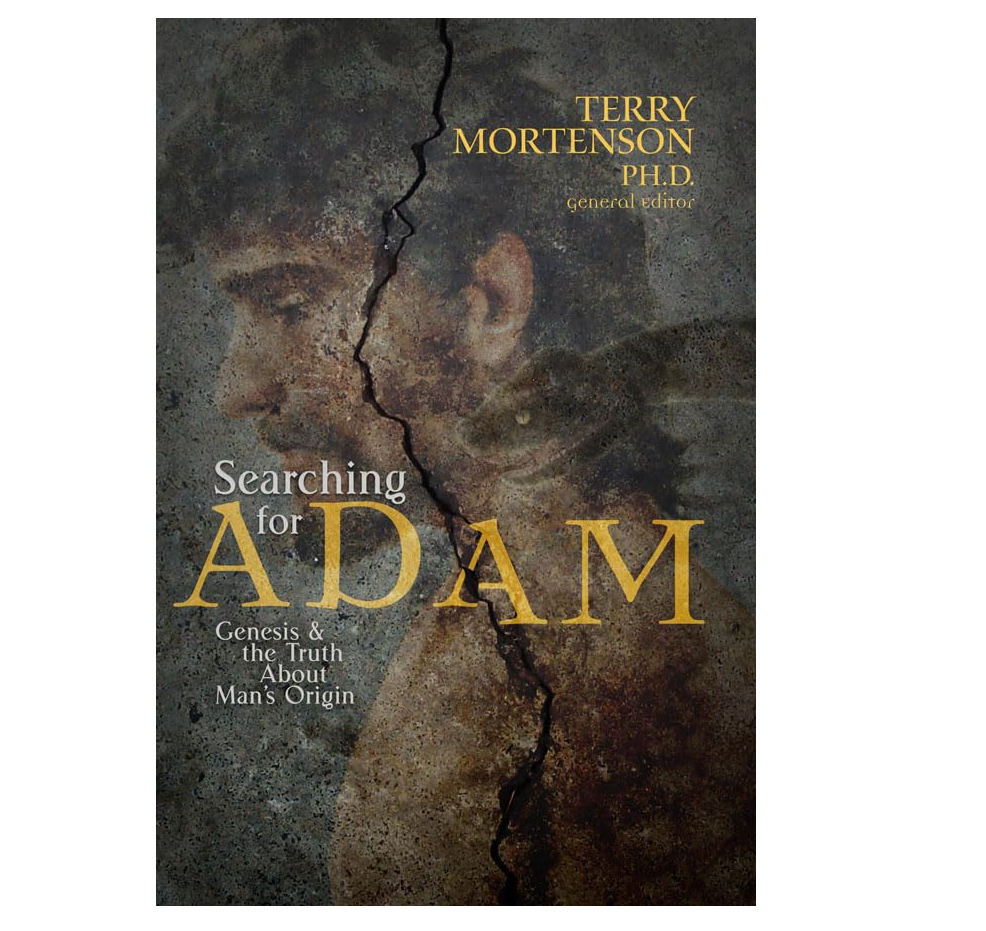 Searching for Adam