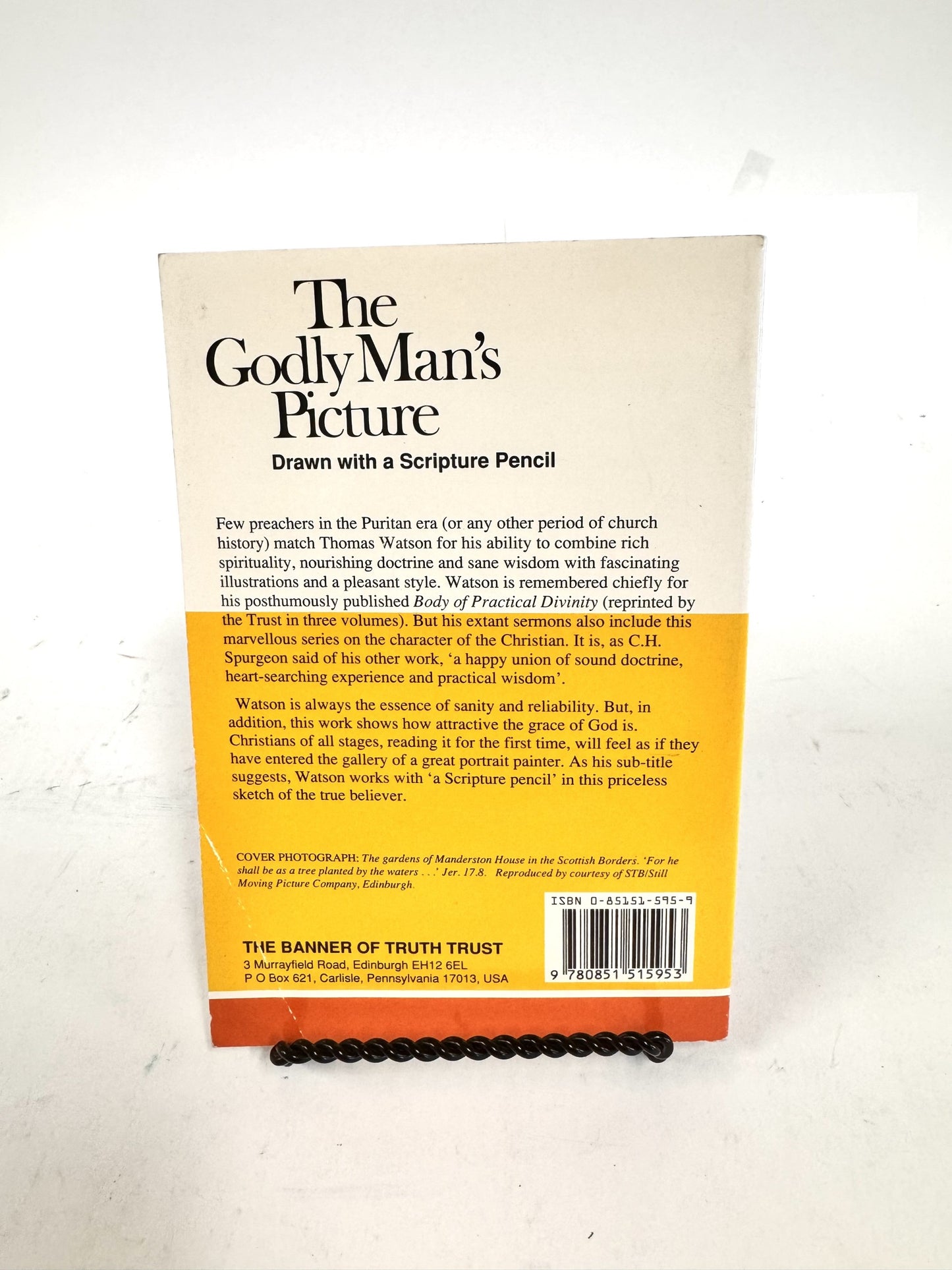 The Godly Man's Picture