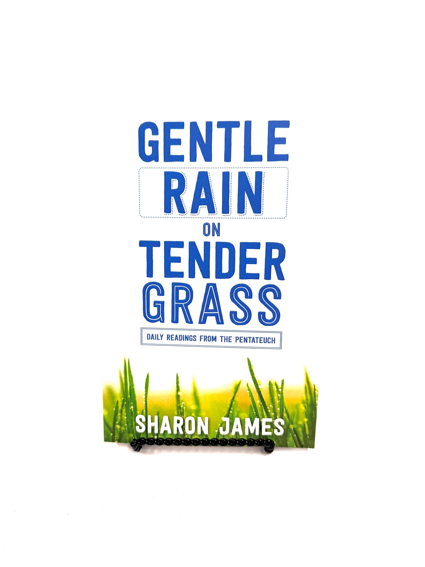 Gentle Rain on Tender Grass