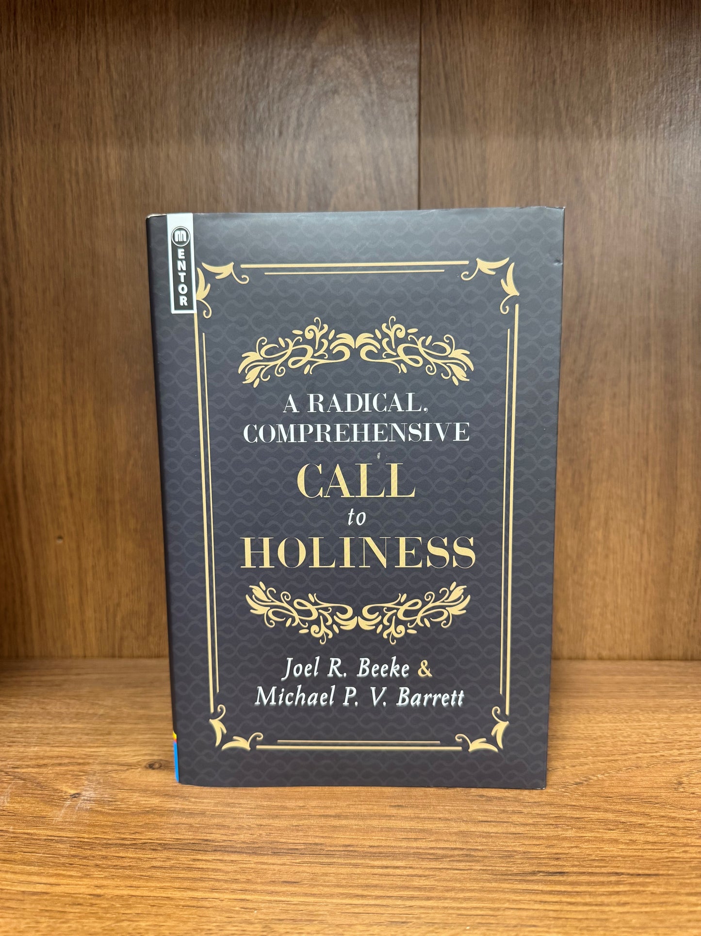 Radical Comprehensive Call to Holiness