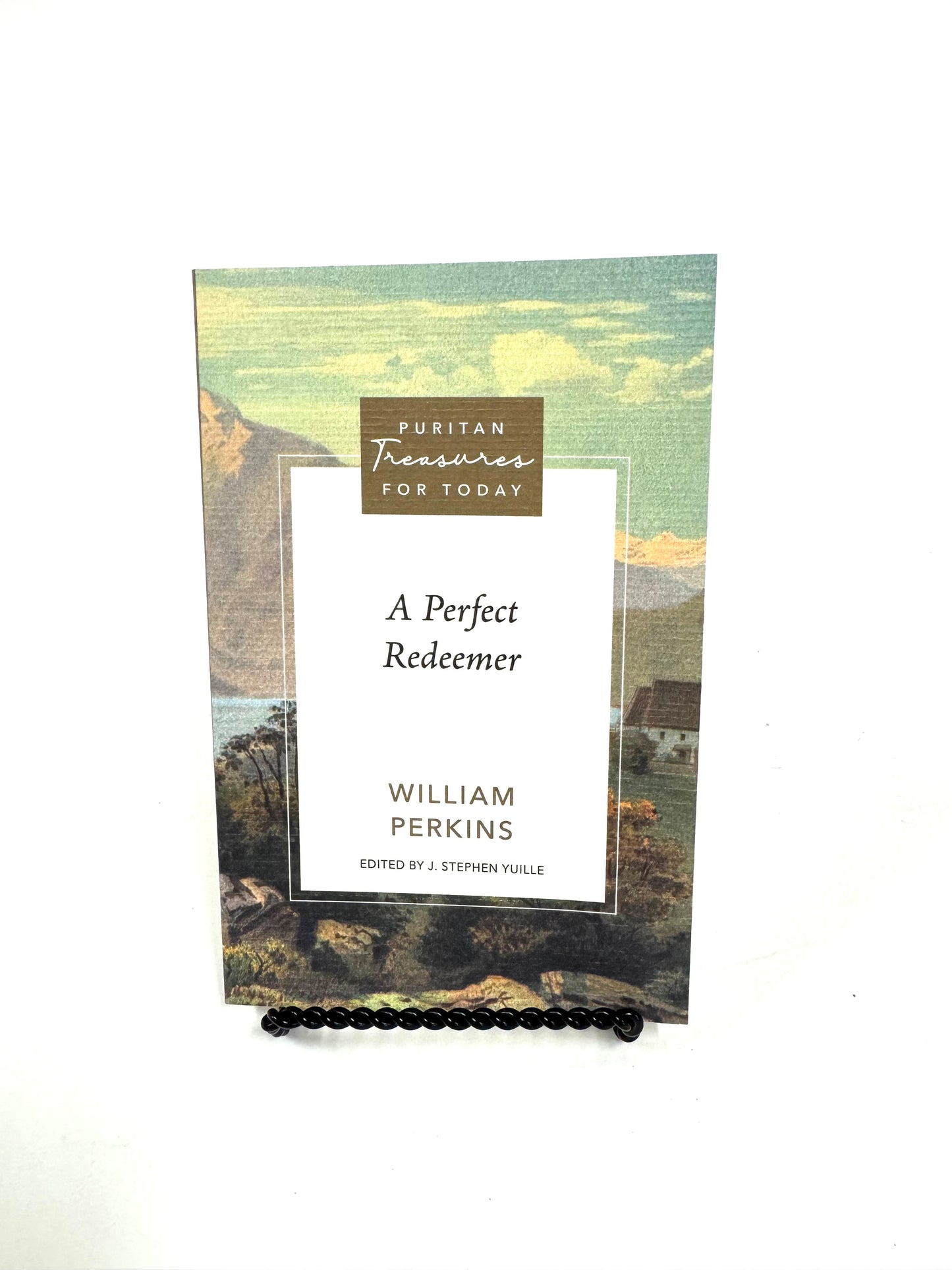 A Perfect Redeemer