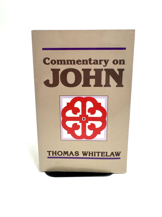 Commentary on John