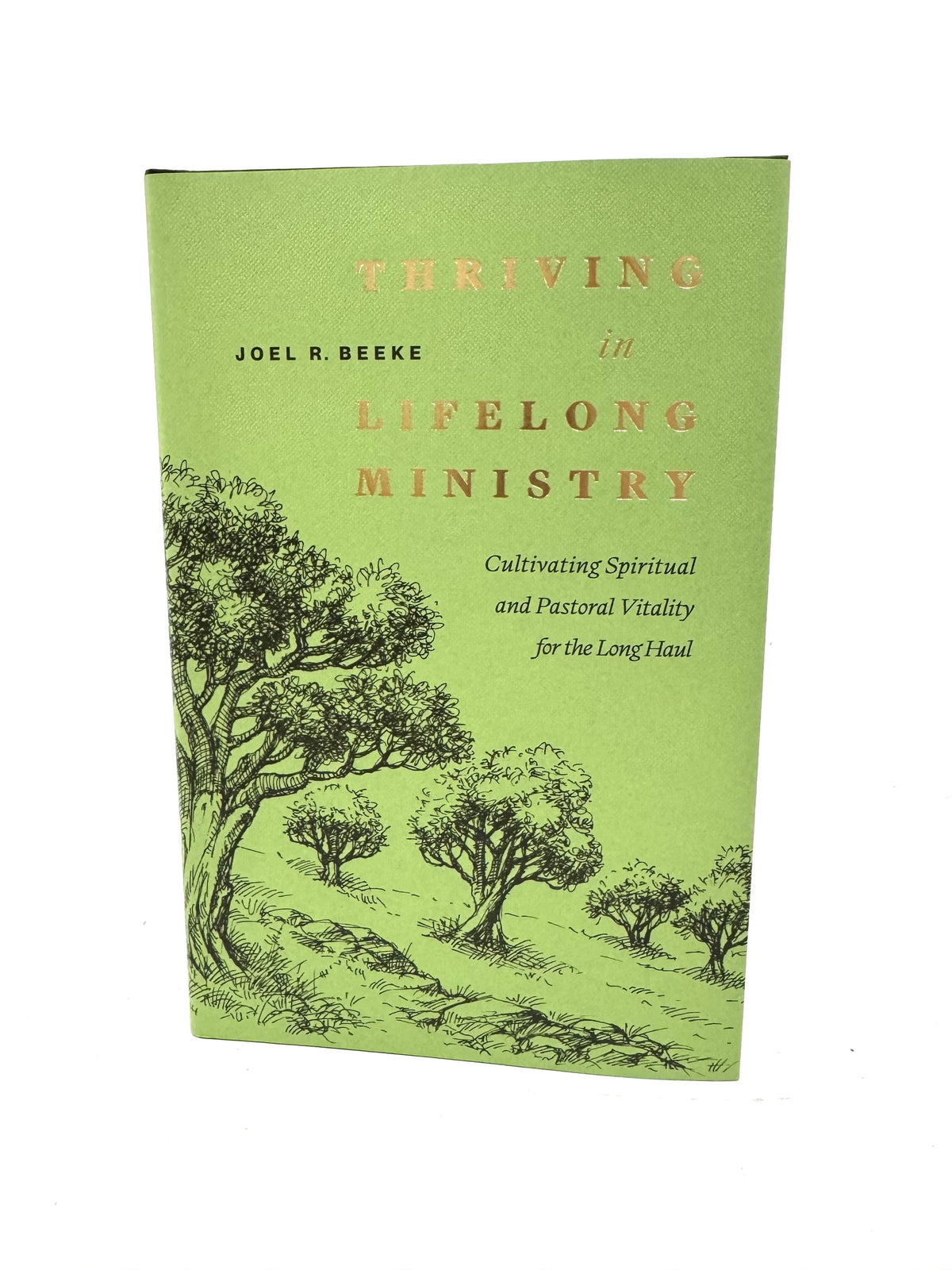 Thriving in Lifelong Ministry