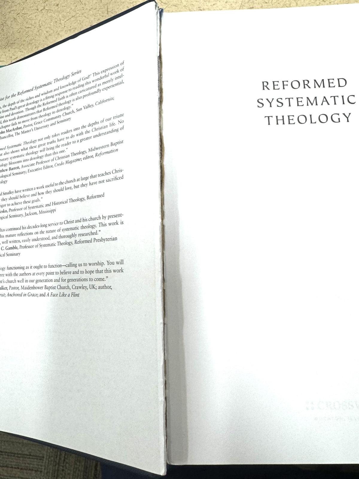 Reformed Systematic Theology Vol. 3