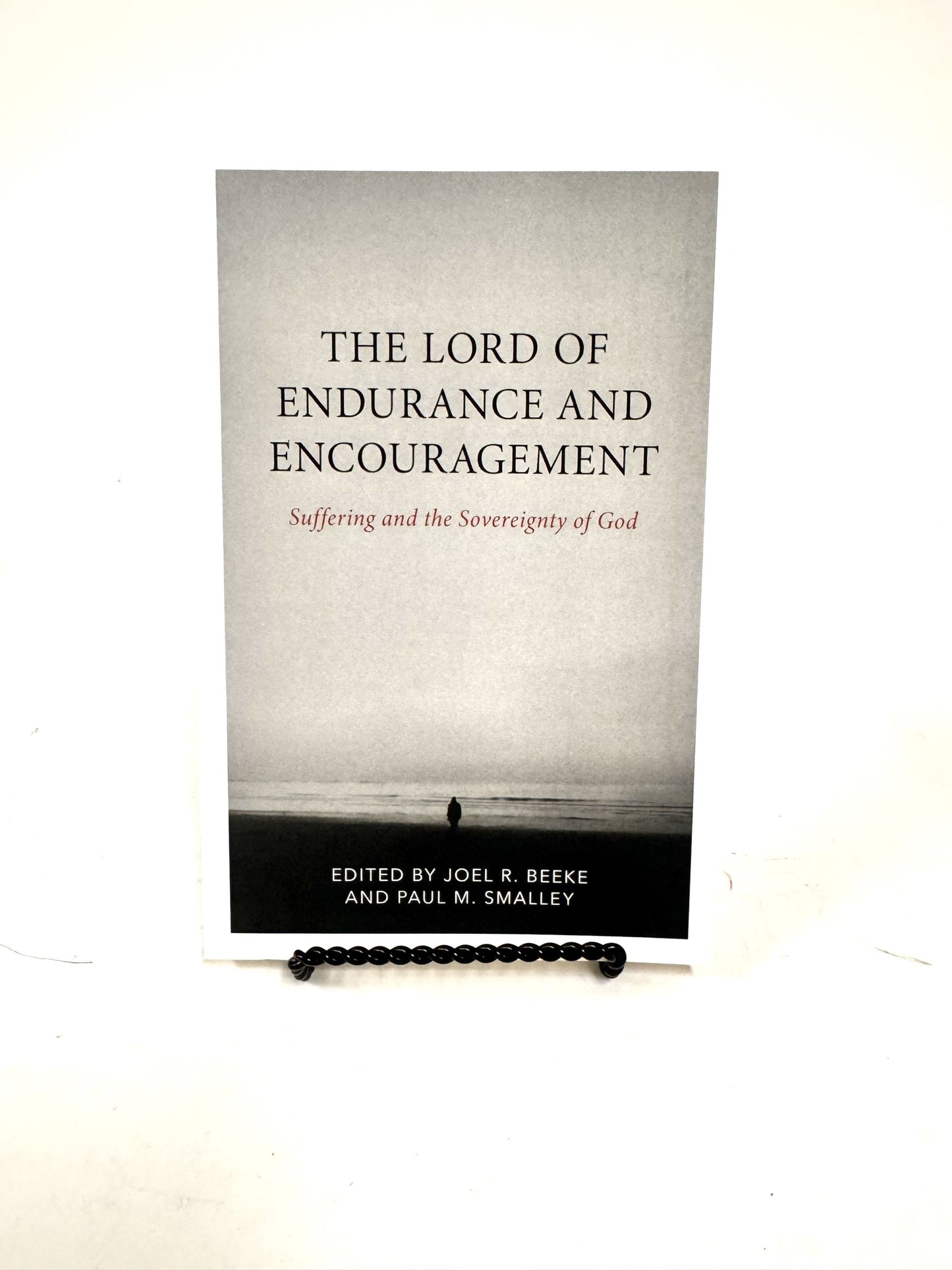 The Lord of Endurance and Encouragement