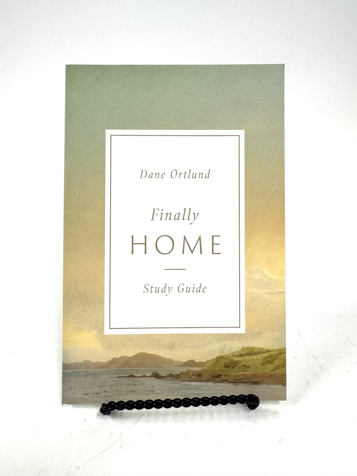 Finally Home (Study Guide)