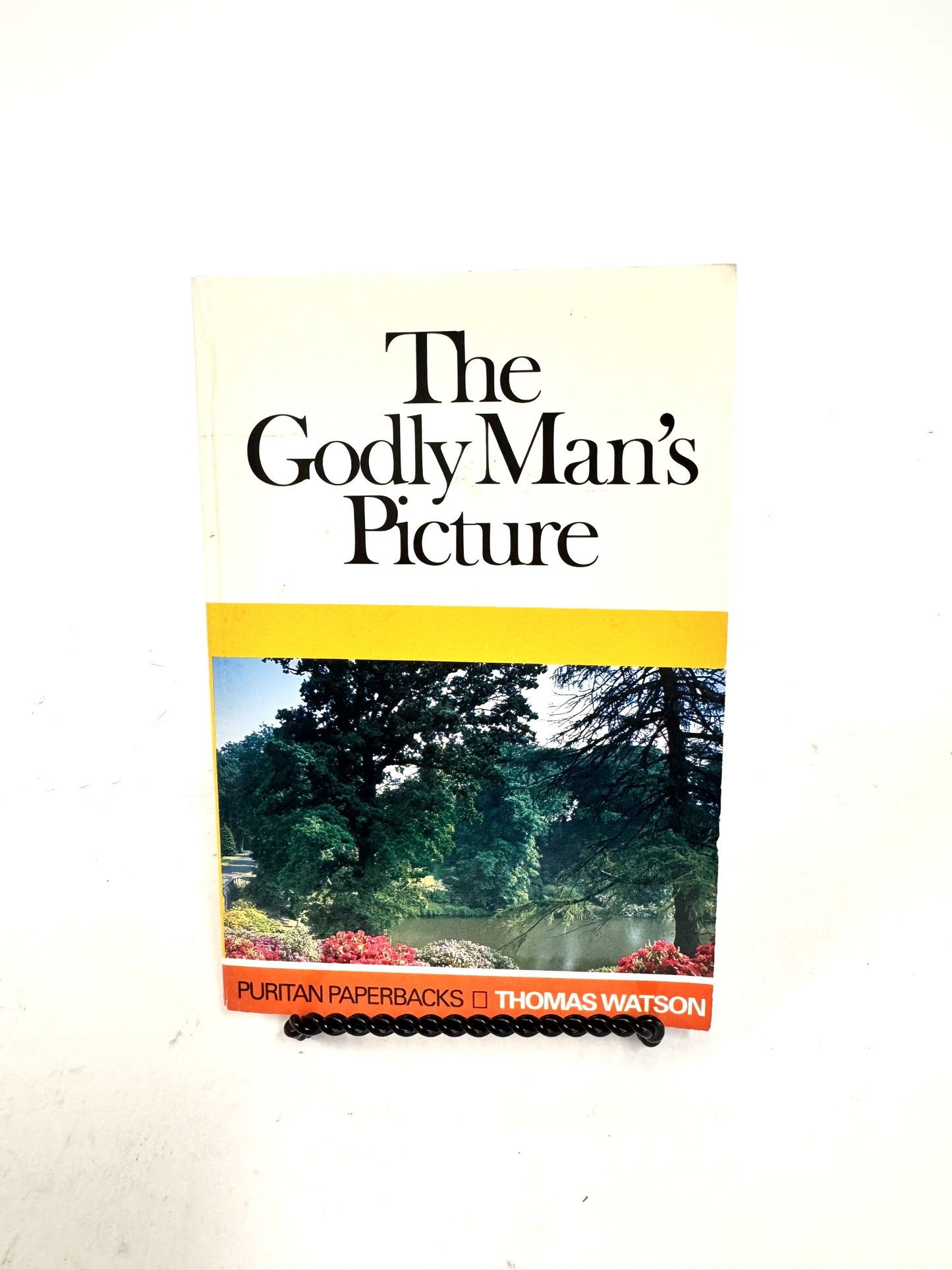The Godly Man's Picture
