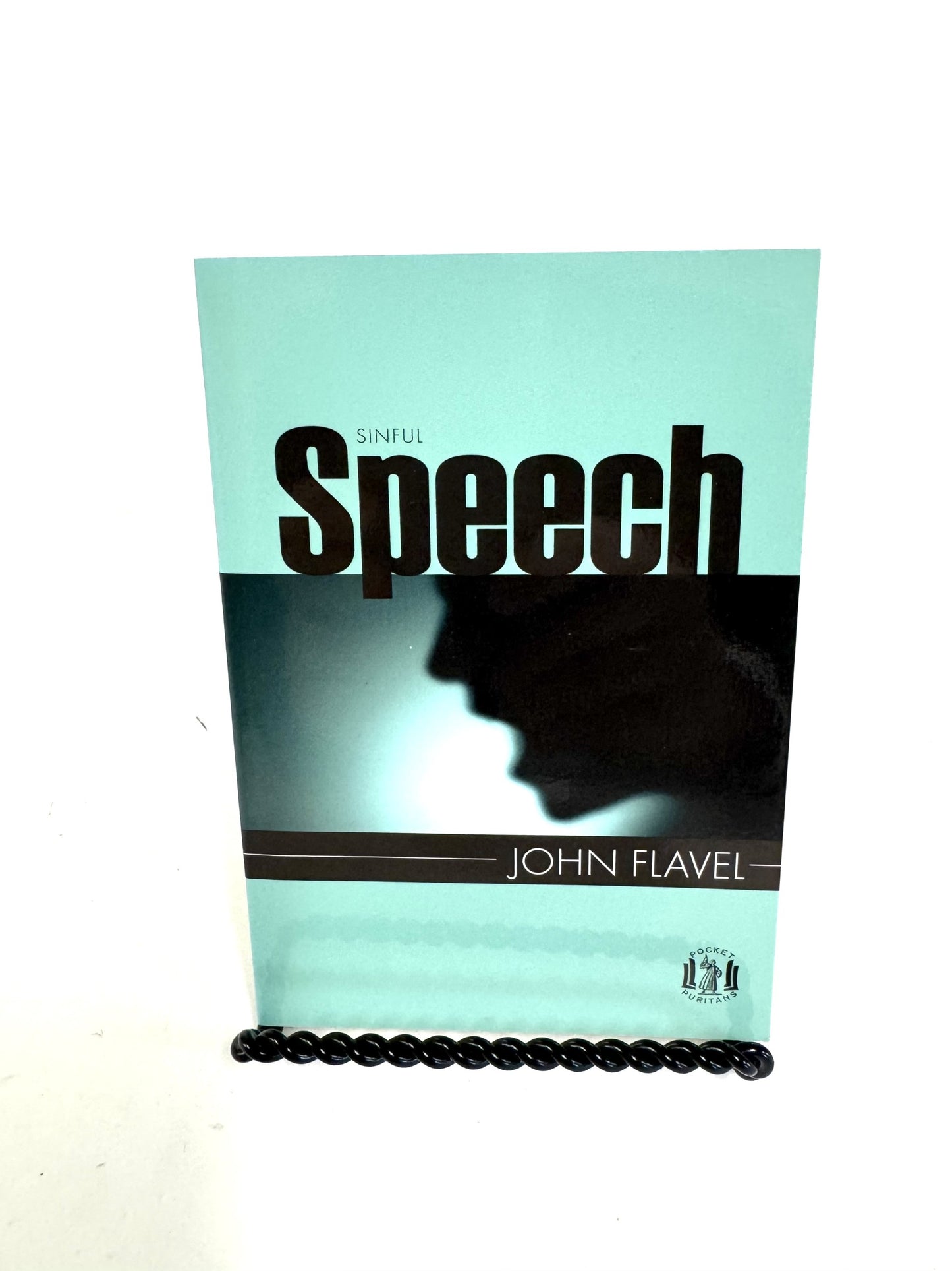 Sinful Speech