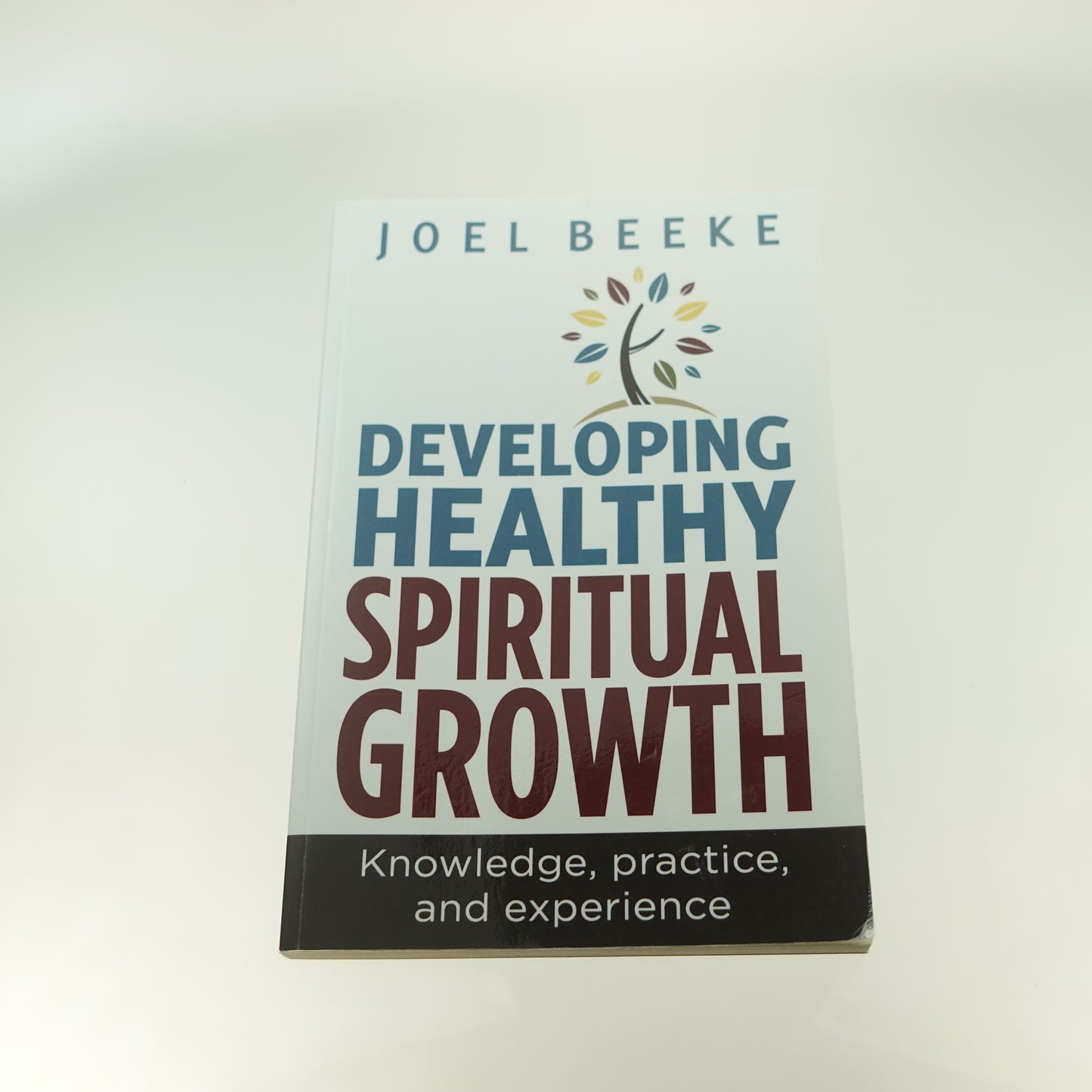 Developing Healthy Spiritual Growth