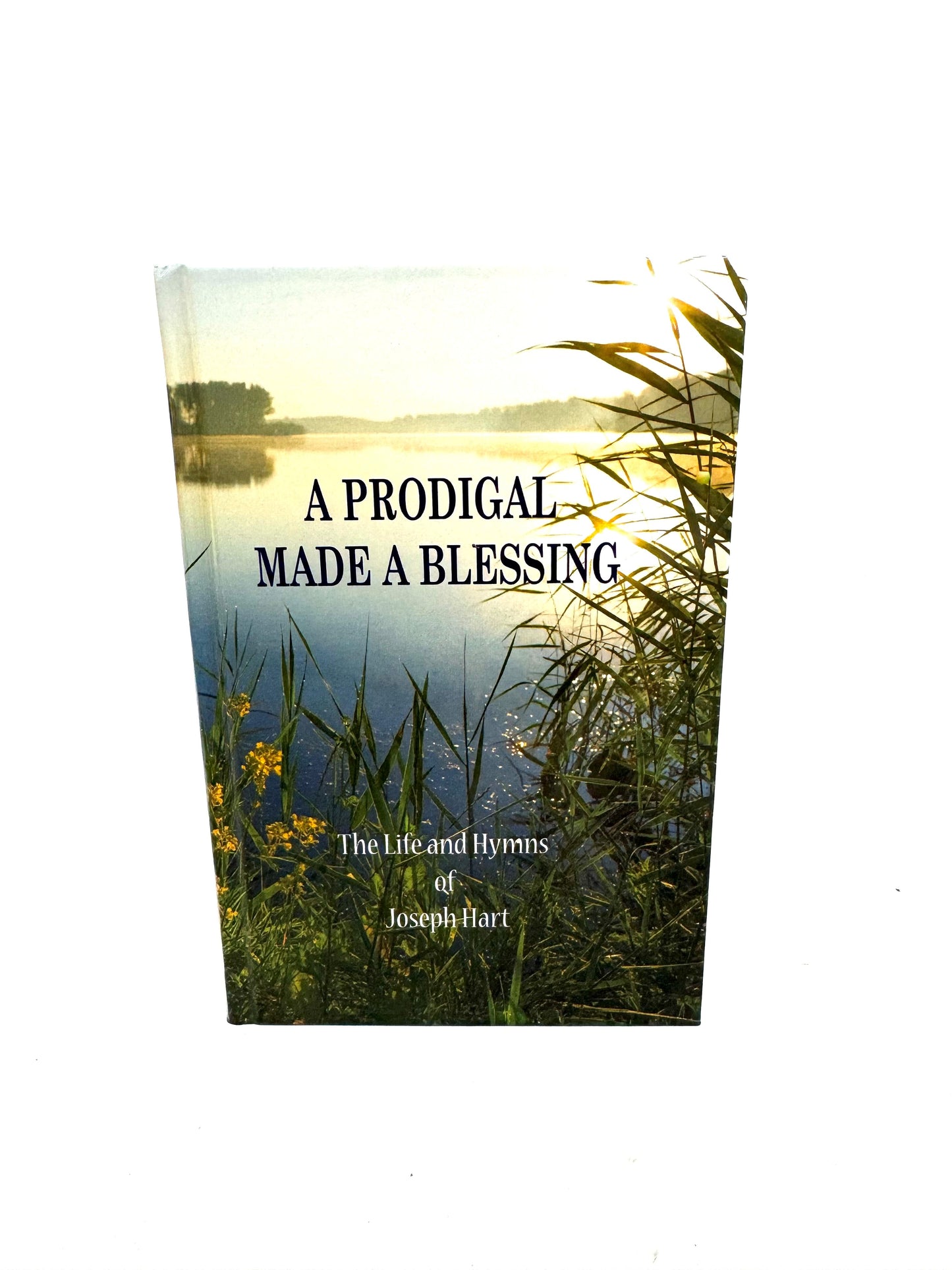 Prodigal Made a Blessing