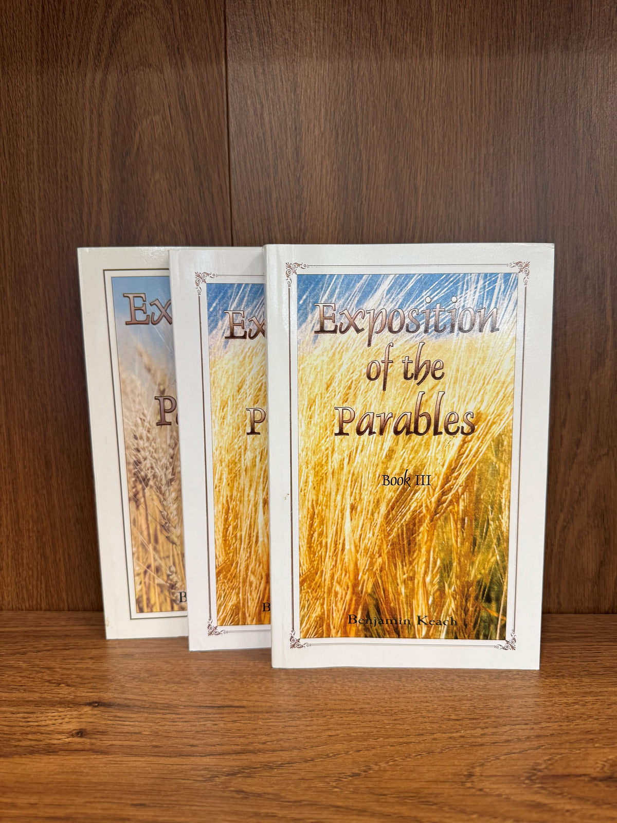 Parables Ex Exposition of the Parables 3 vol. set – Puritan Reformed Bookstore