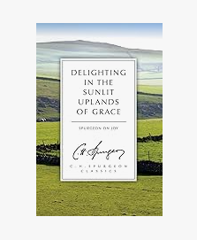 Delighting in the Sunlit Uplands of Grace