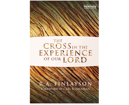 Cross in the Experience of Our Lord