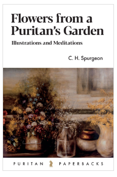 Flowers from a Puritan's Garden