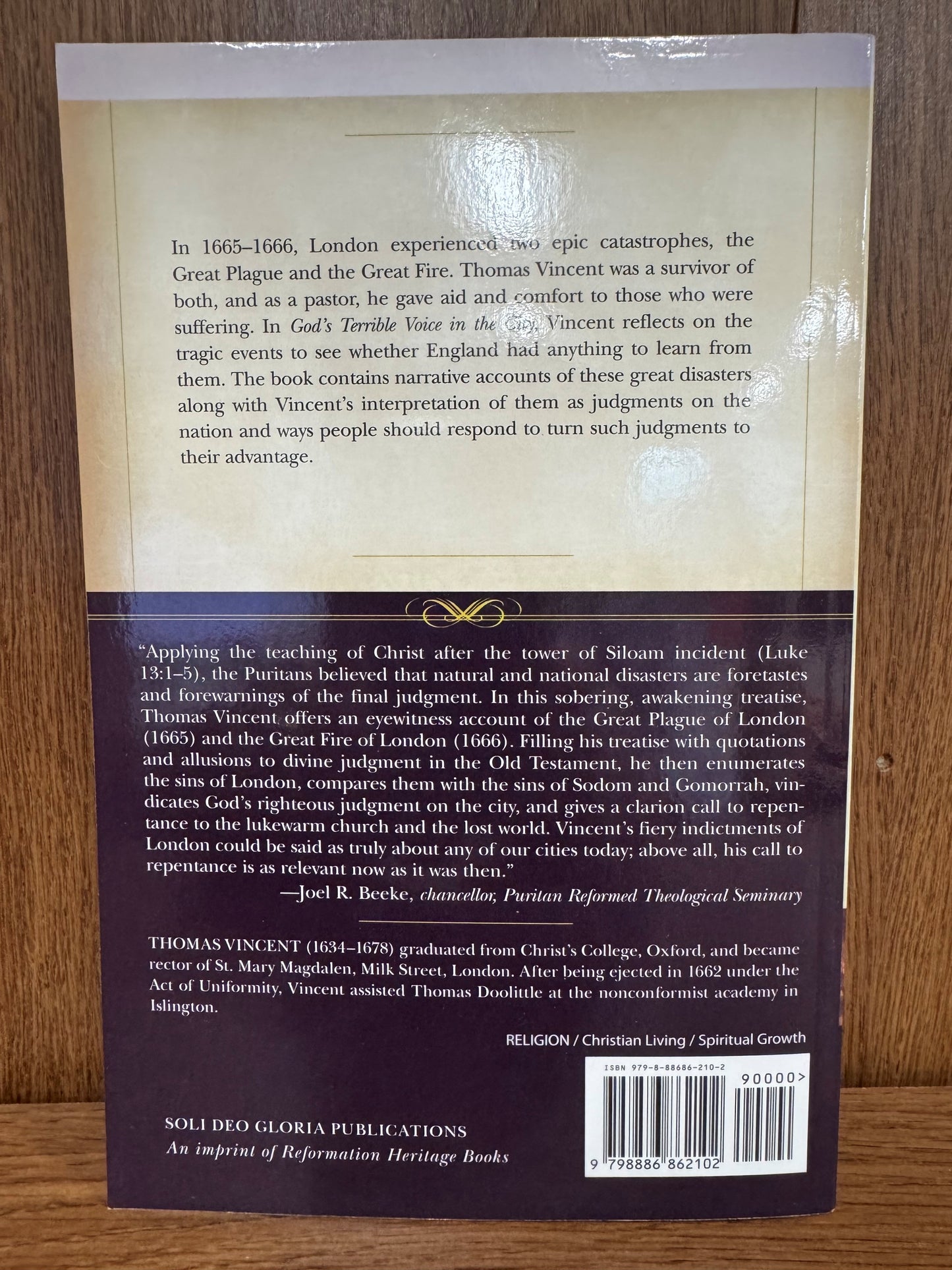 God's Terrible Voice in the City