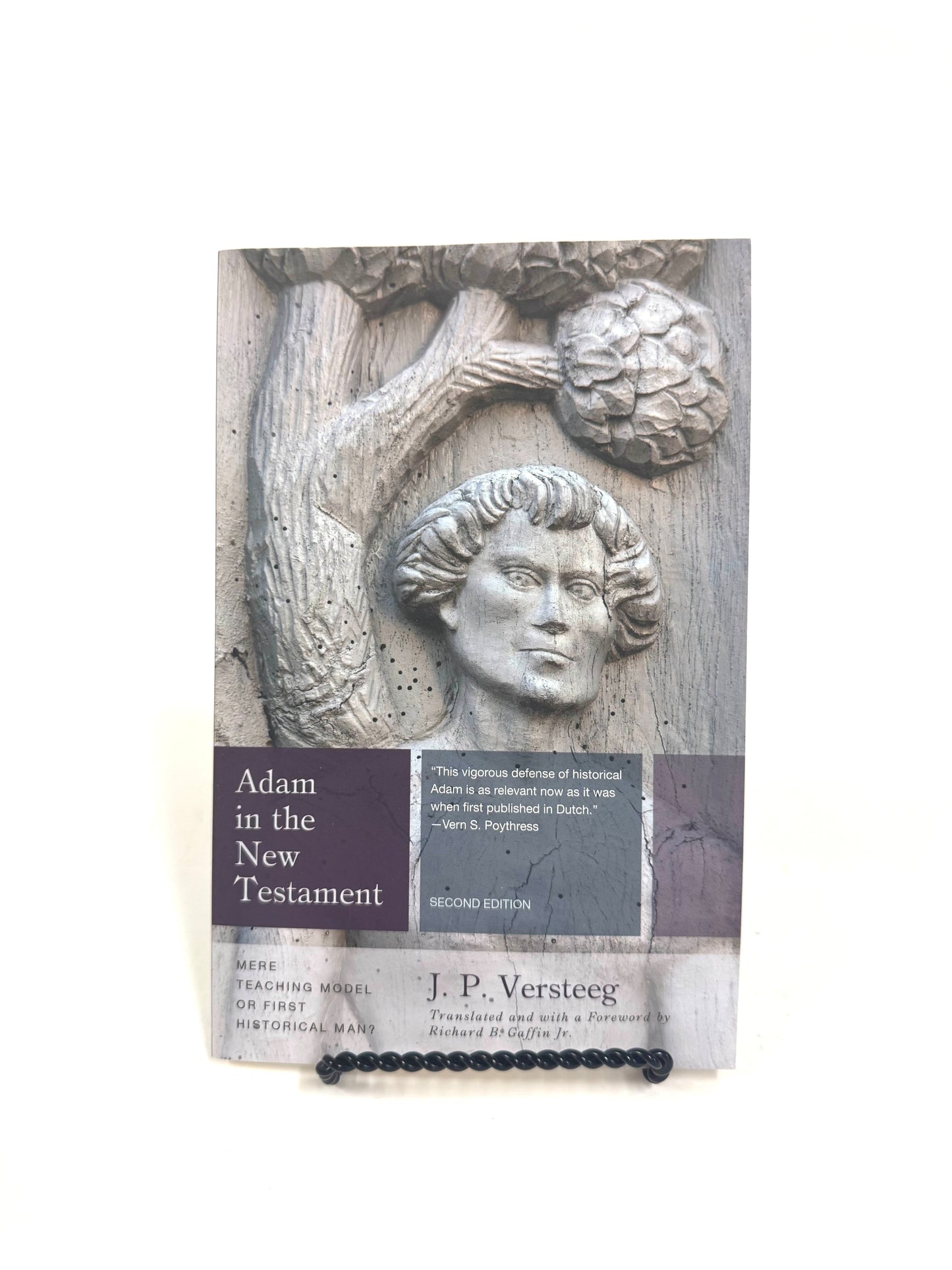 Adam in the New Testament