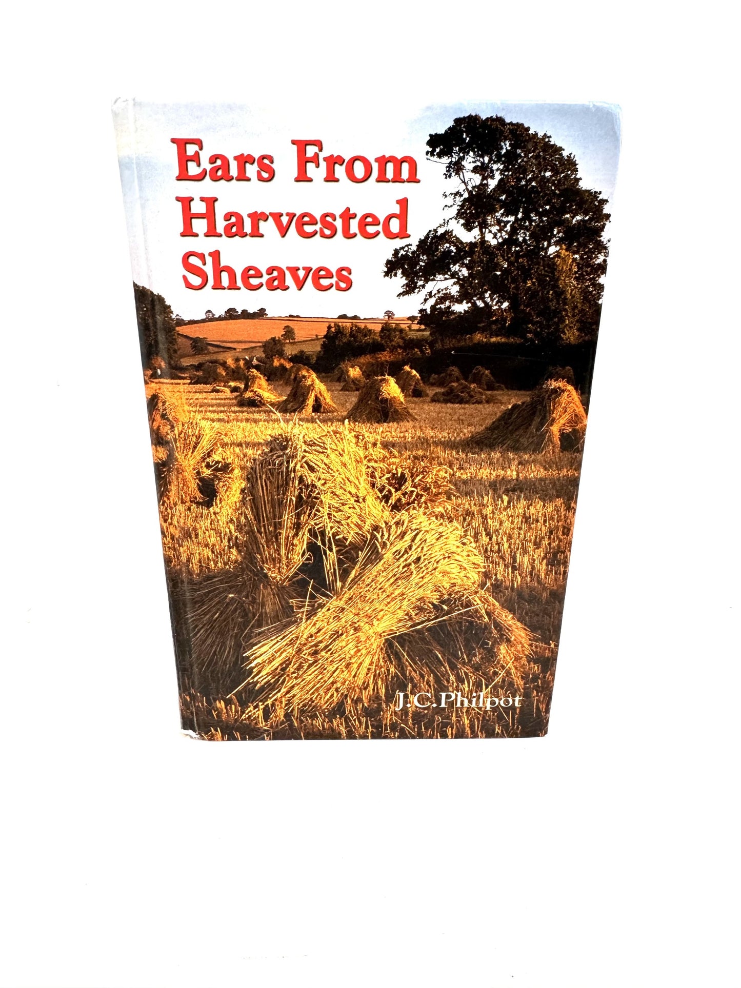 Ears from Harvested Sheaves