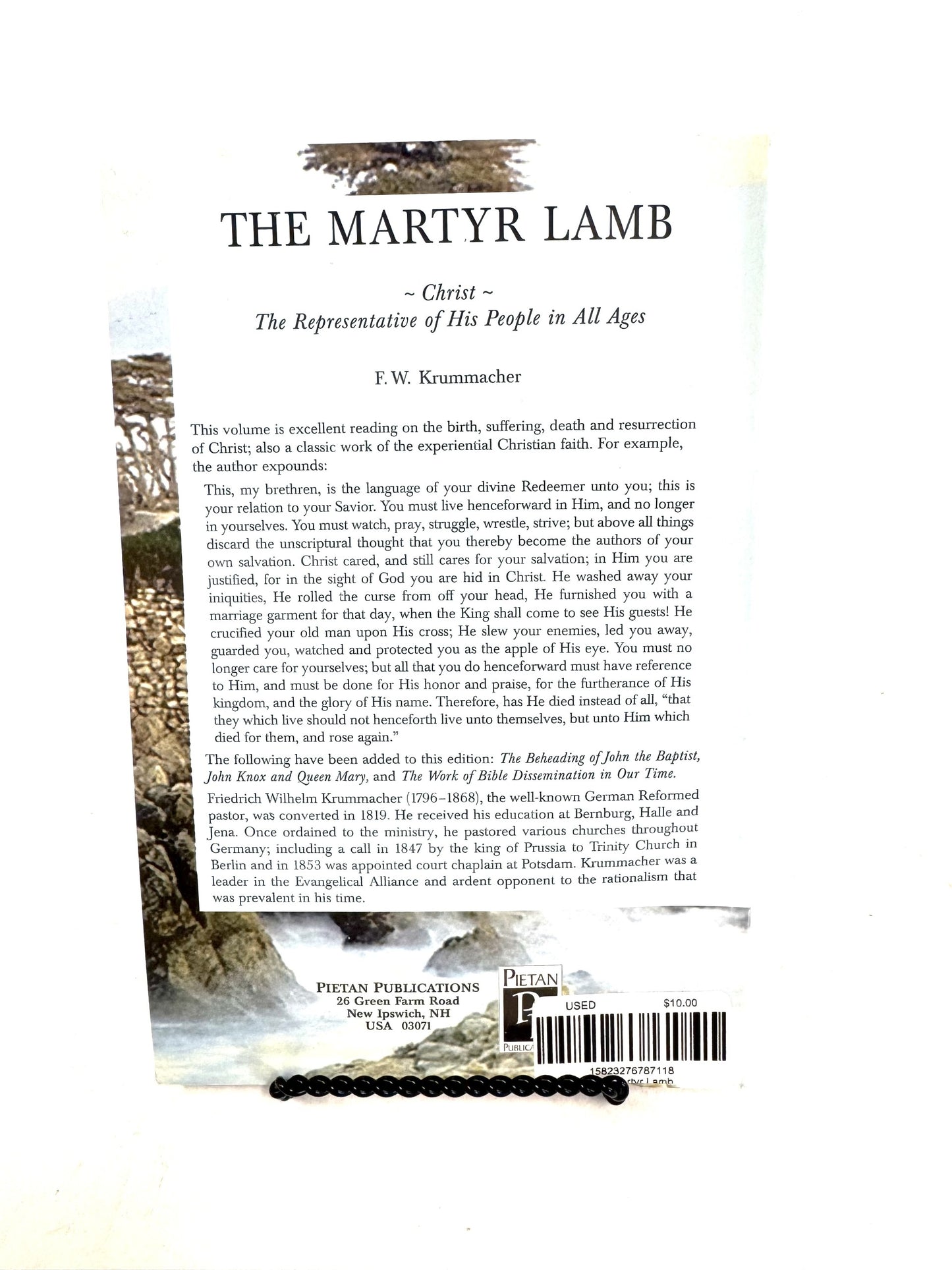 The Martyr Lamb