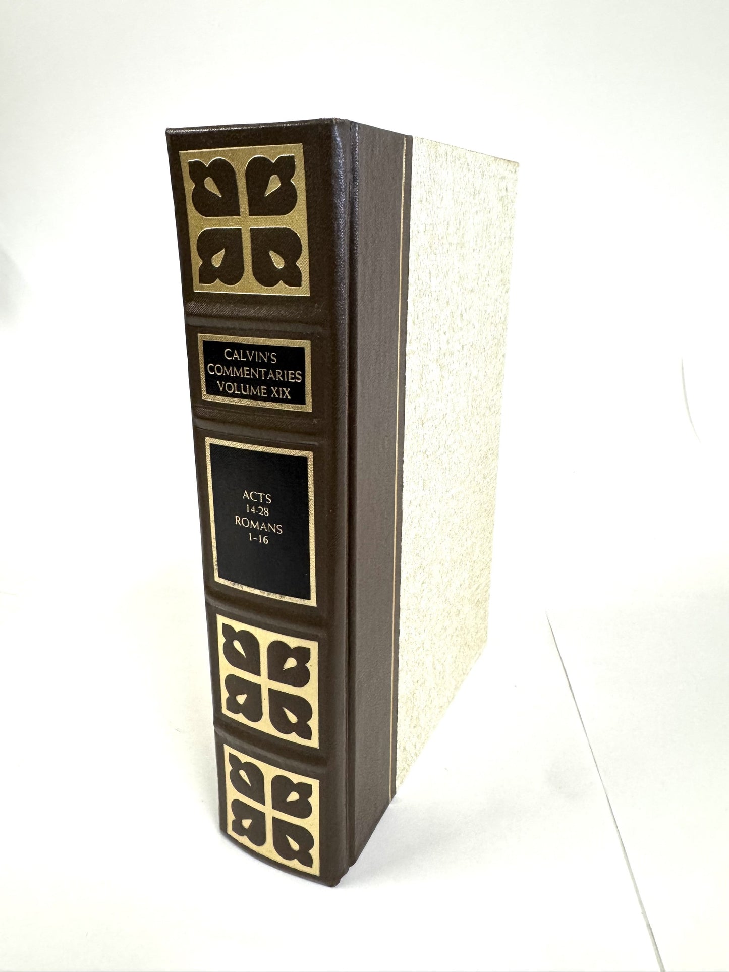 Calvin's Commentaries Vol. XIX