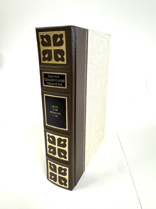 Calvin's Commentaries Vol. XIX
