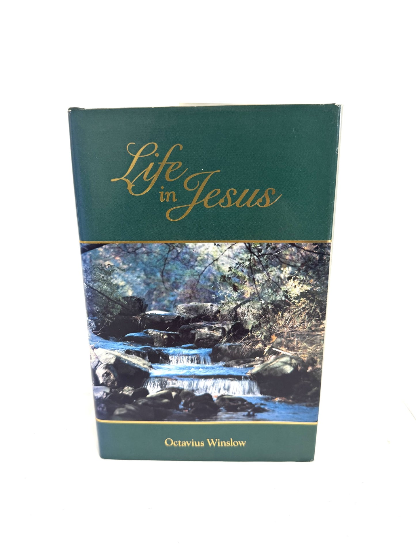 Life in Jesus
