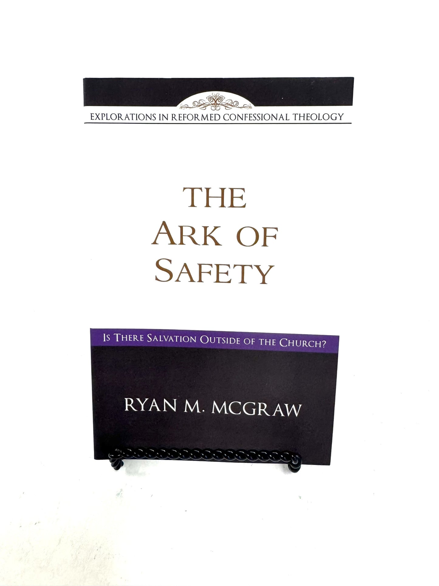 The Ark of Safety