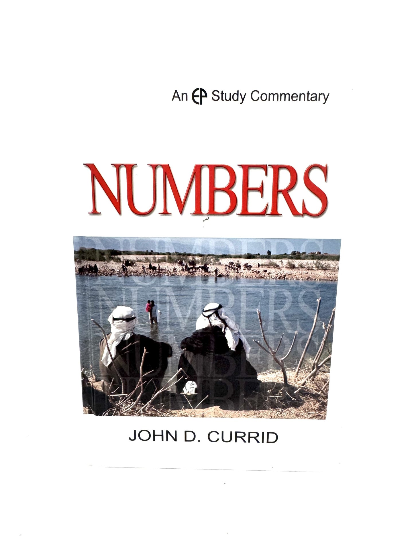 A Study Commentary on Numbers