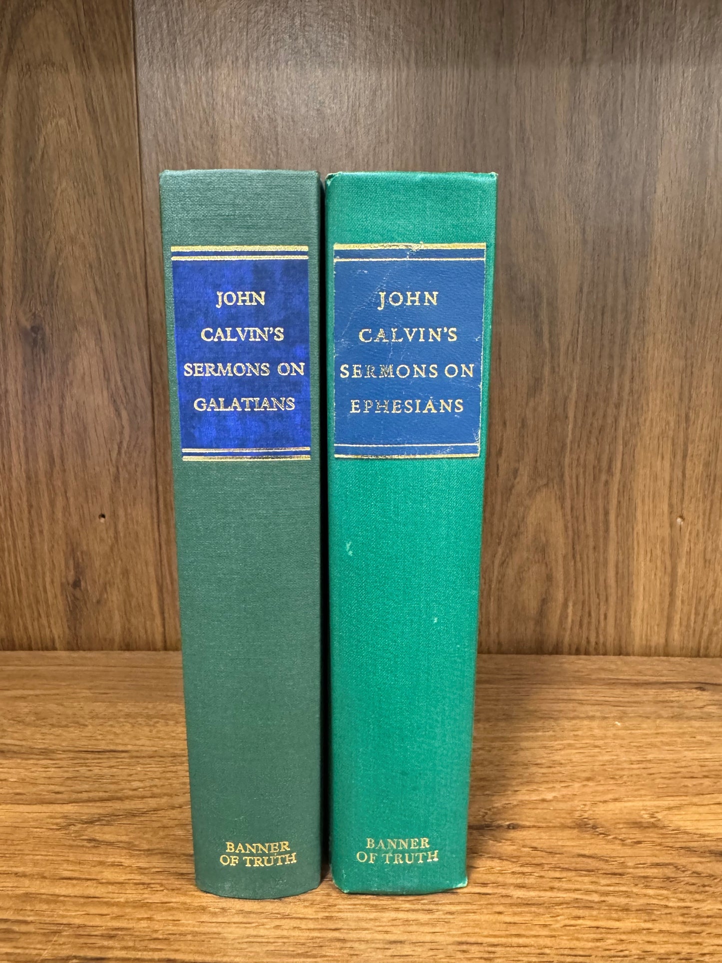 Sermons on Galatians and Ephesians Bundle