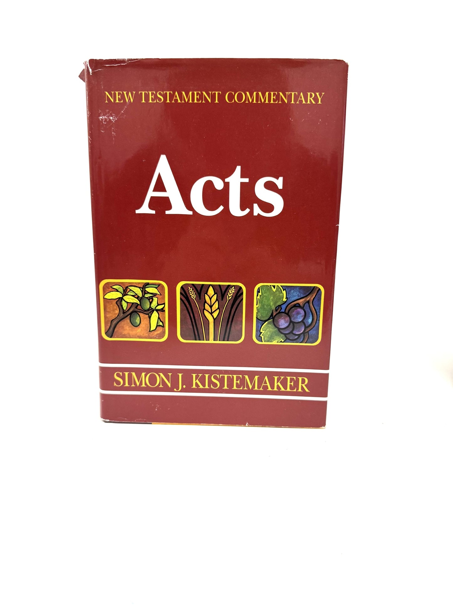 Acts (New Testament Commentary)