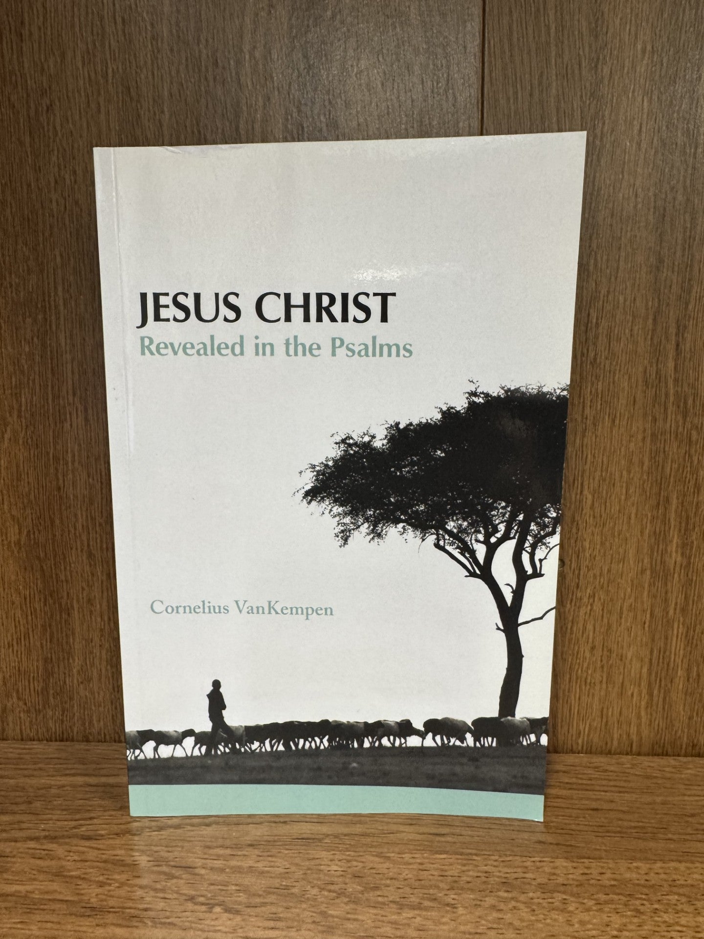 Jesus Christ: Revealed in the Psalms
