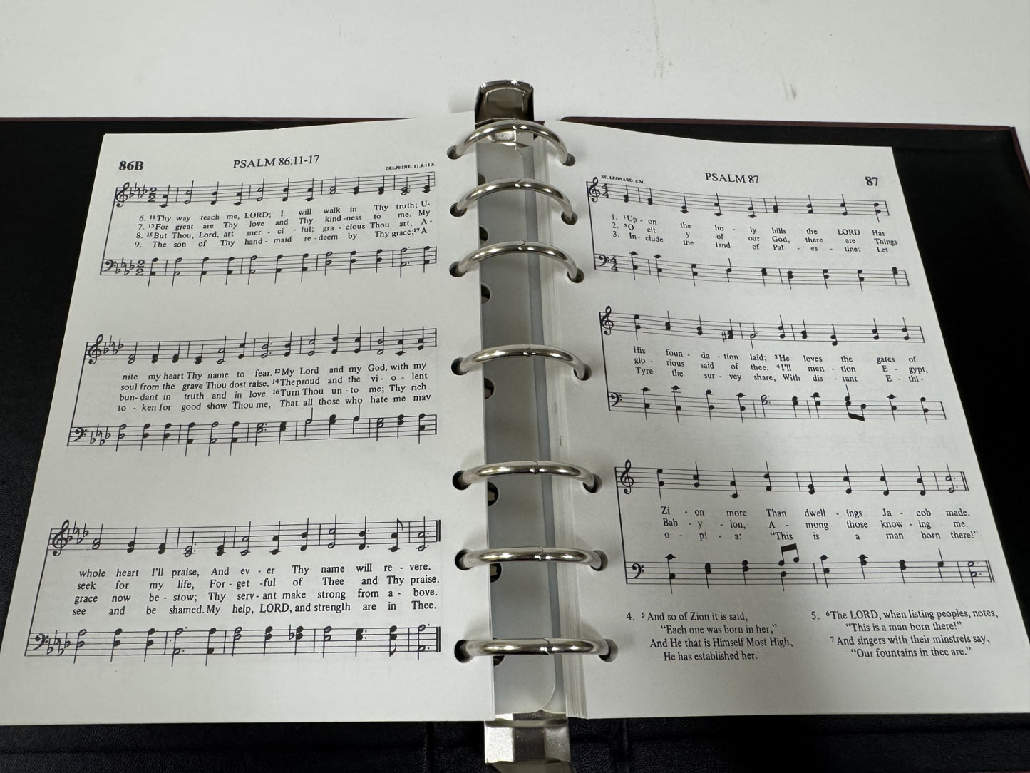 Book of Psalms for Singing:  3 ringed binder