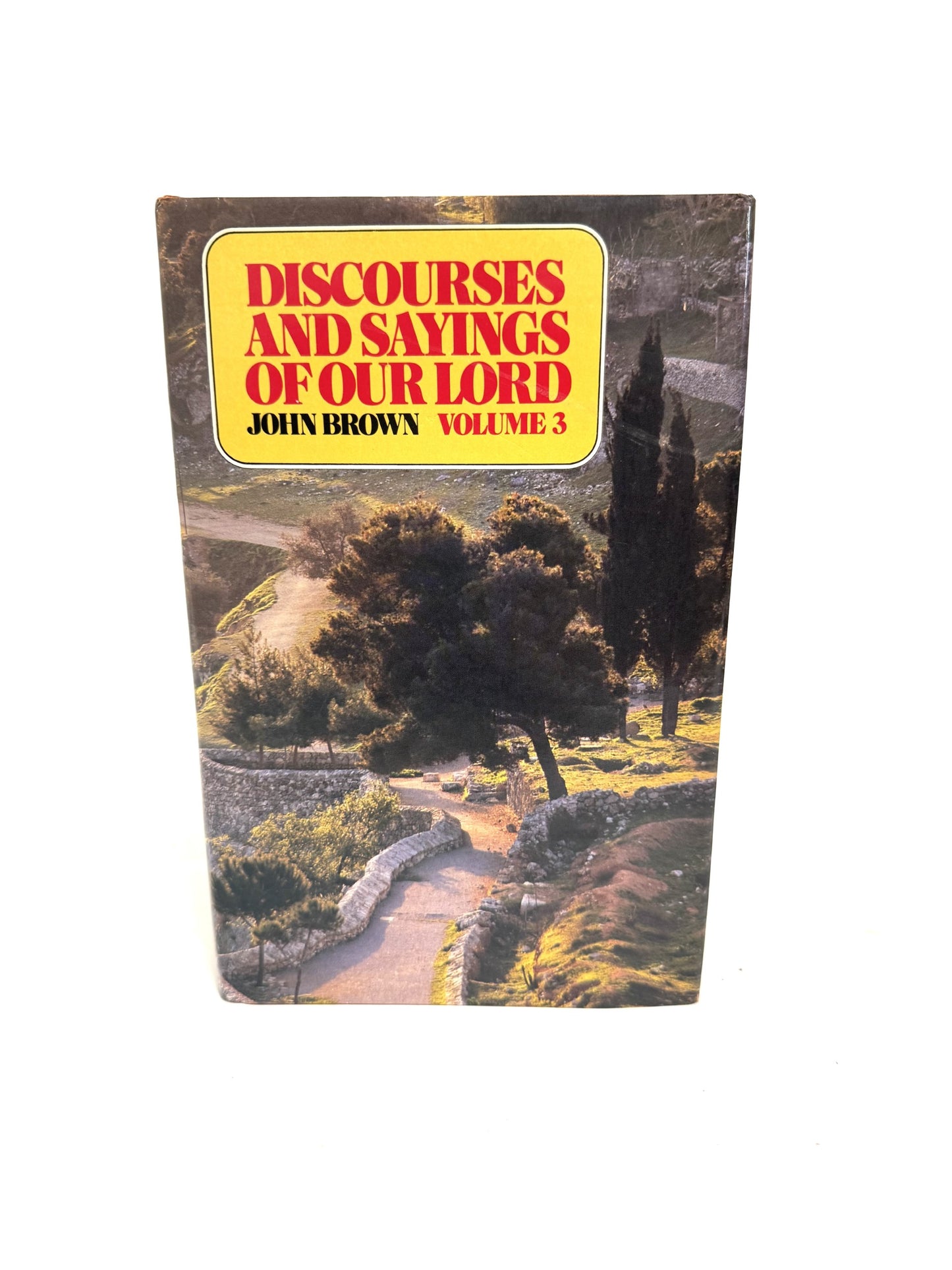 Discourses and Sayings of Our Lord Vol. 3