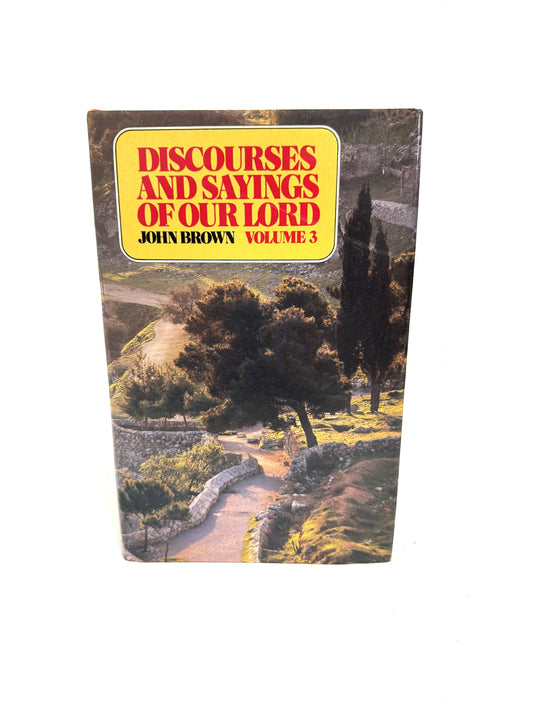 Discourses and Sayings of Our Lord Vol. 3